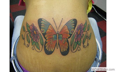 Butterfly 62